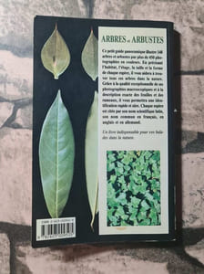 Arbres Et Arbustes