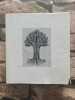 Le livre de la famille - encyclopedie des epoux et des parents chretiens. WINNINGER PAUL