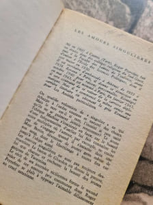 Les Amours singulières