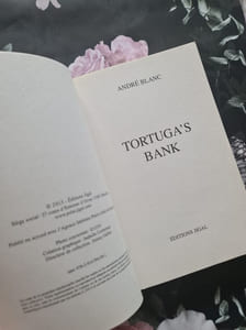Tortuga's bank