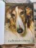 La passion des chiens. 