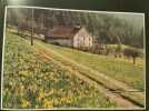 Vie paysanne des hautes-vosges. 