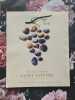 Terre de vins nº 27. 