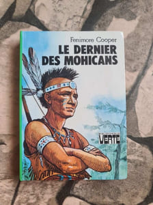Le Dernier Des Mohicans
