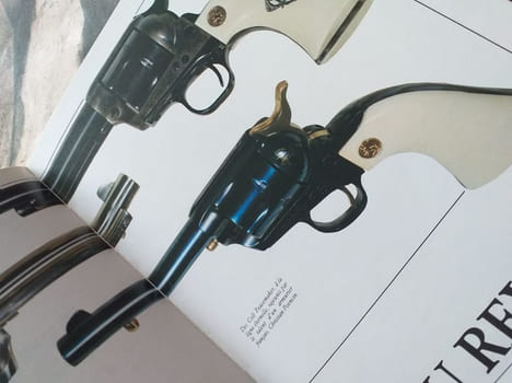 L'epopée des revolvers. Darel Gilles