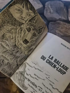 La Ballade du chien-loup (Bibliothèque de l'amitié)