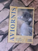 Avionirs international n&ordm; 163. 