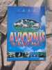Aviornis international n&ordm; 145. 
