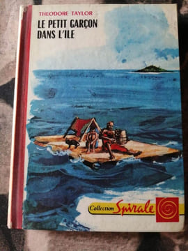 Le Petit Garçon Dans L'île. Théodore Taylor
