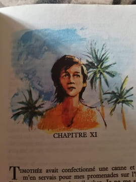 Le Petit Garçon Dans L'île. Théodore Taylor