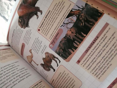 Tout savoir sur tout