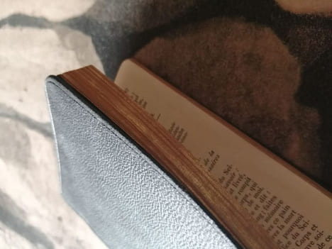 Petit manuel paroissial- Pirères décotions messe vêpres saluts sacrements anné liturgique. Fleury A