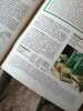 Le guide du potager nº 33. 