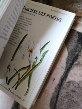 Les Fleurs Sauvages. Melinossi Roma Puccinelli Ileana Datteri Adriana