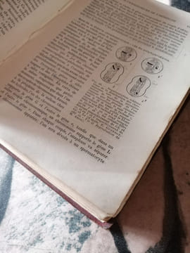 Précis de biologie animale. GRASSE P. ARON M