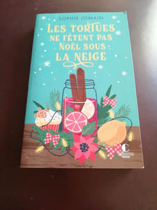 Les tortues ne fêtent pas Noël sous la neige
