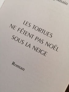 Les tortues ne fêtent pas Noël sous la neige