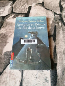 Romulus et Rémus les fils de la louve