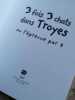 3 fois 3 chats dans troyes ou l'epreuve par 9. 