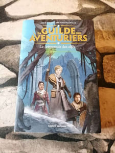 La Guilde des aventuriers Tome 02: Le crépuscule des elfes