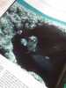 Terre sauvage - nª 67 Novembre 1992. 