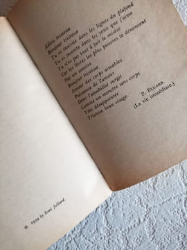 Bonjour traitresse. Françoise Sagan