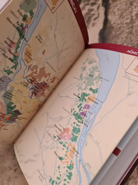 Le petit Larousse des Vins: Connaître choisir déguster. Collectif