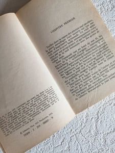 Brigade mondaine 6 : l'héroine en or massif