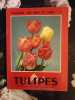 Tulipes. 