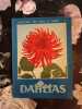 Dahlias. 