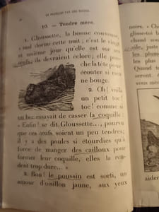 Le français par les textes