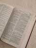 La Sainte Bible. 