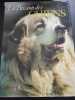 Love of Dogs. COLLECTIF