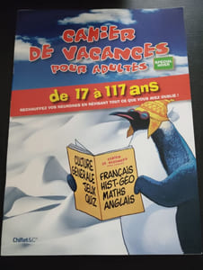 Cahier de vacances pour adultes: Spécial hiver