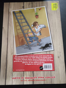 Cahier de vacances pour adultes : Spécial mystères. Caroline de Hugo Tom Cutrofello Catherine Fell Vincent Haudiquet Sylvain Frécon