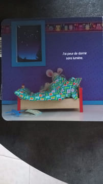 Barnabé l'inquiet. Odile Bailloeul Claire Curt
