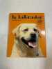 Le labrador. Emmanuelle Dal'Secco