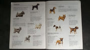 Autocollants chiens. 