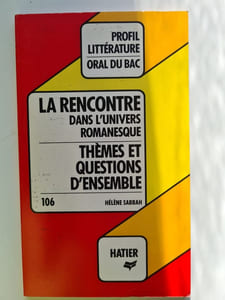 La rencontre dans l'univers romanesque: thèmes et questions d'ensemble