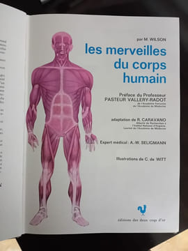 Les merveilles du corps humain. undefined