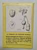 Les quatre saisons du jardinage nº25 - Avril 1984. 