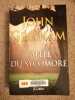 L'Allée du sycomore. John Grisham