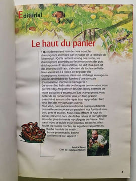 Les 54 meilleurs champignons et leur faux amis. Isabelle Masson-Deblaize
