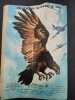 RAPACES n°339. 