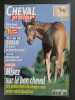 Revue Cheval Pratique N° 147. 