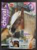 Revue Cheval Star N° 159 S. 