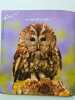 Le carnet de Pirouette nº 91 - 2011. 