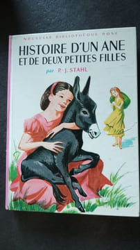 Histoire d'un ane et de deux jeunes filles. P.-J. Stahl