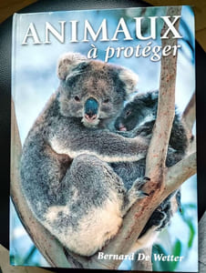 Animaux à protéger [Relié] by De Wetter Bernard