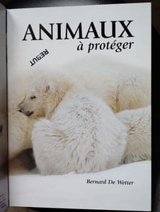 Animaux à protéger [Relié] by De Wetter Bernard